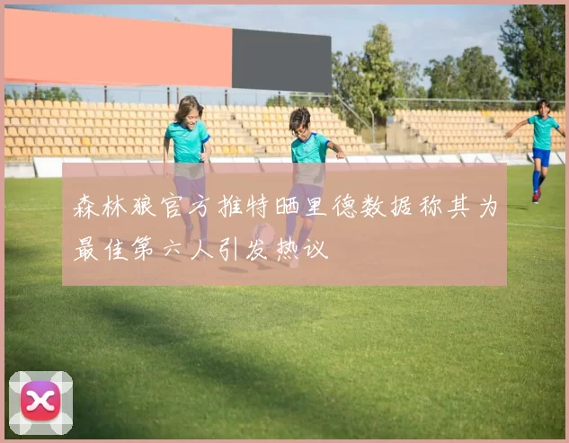 森林狼官方推特晒里德数据称其为最佳第六人引发热议