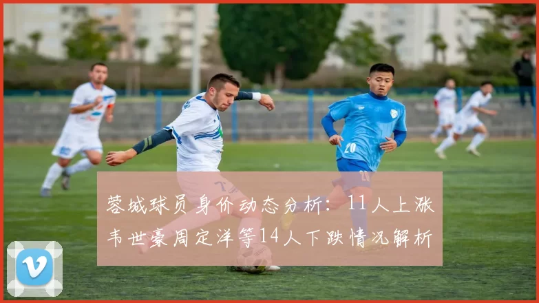 蓉城球员身价动态分析：11人上涨韦世豪周定洋等14人下跌情况解析