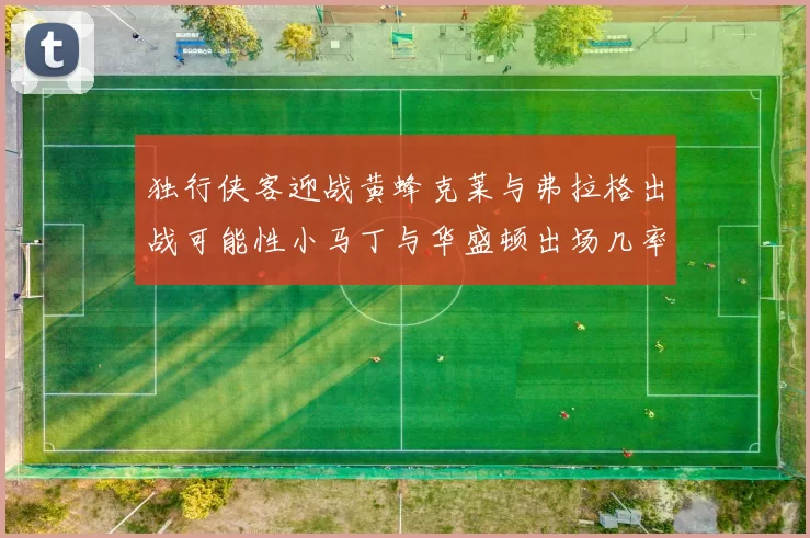 独行侠客迎战黄蜂克莱与弗拉格出战可能性小马丁与华盛顿出场几率高